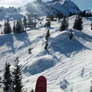 Les Bossons En Lisiere De Foret Dans Le Genepi Arèches